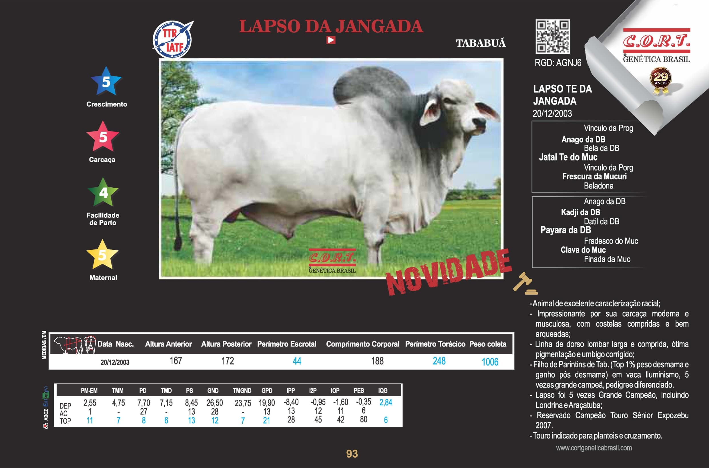 Touro Lapso da Jangada