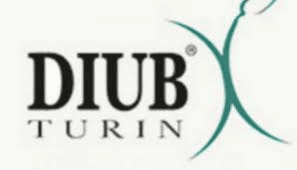 Logo DIUB Turin