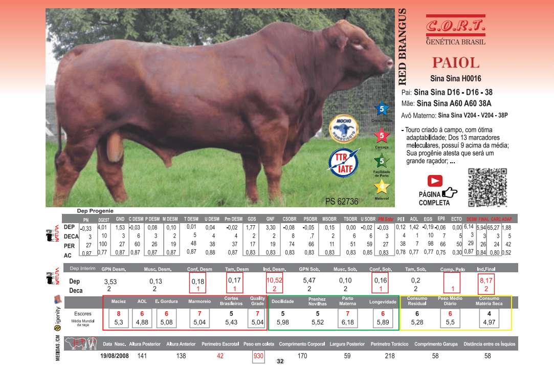 Touro Paiol