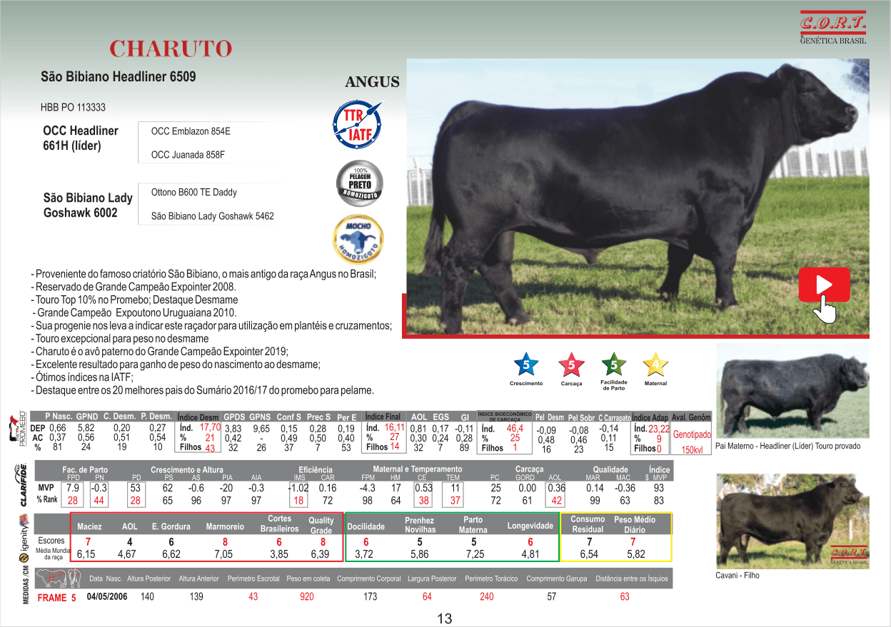 Touro CHARUTO
