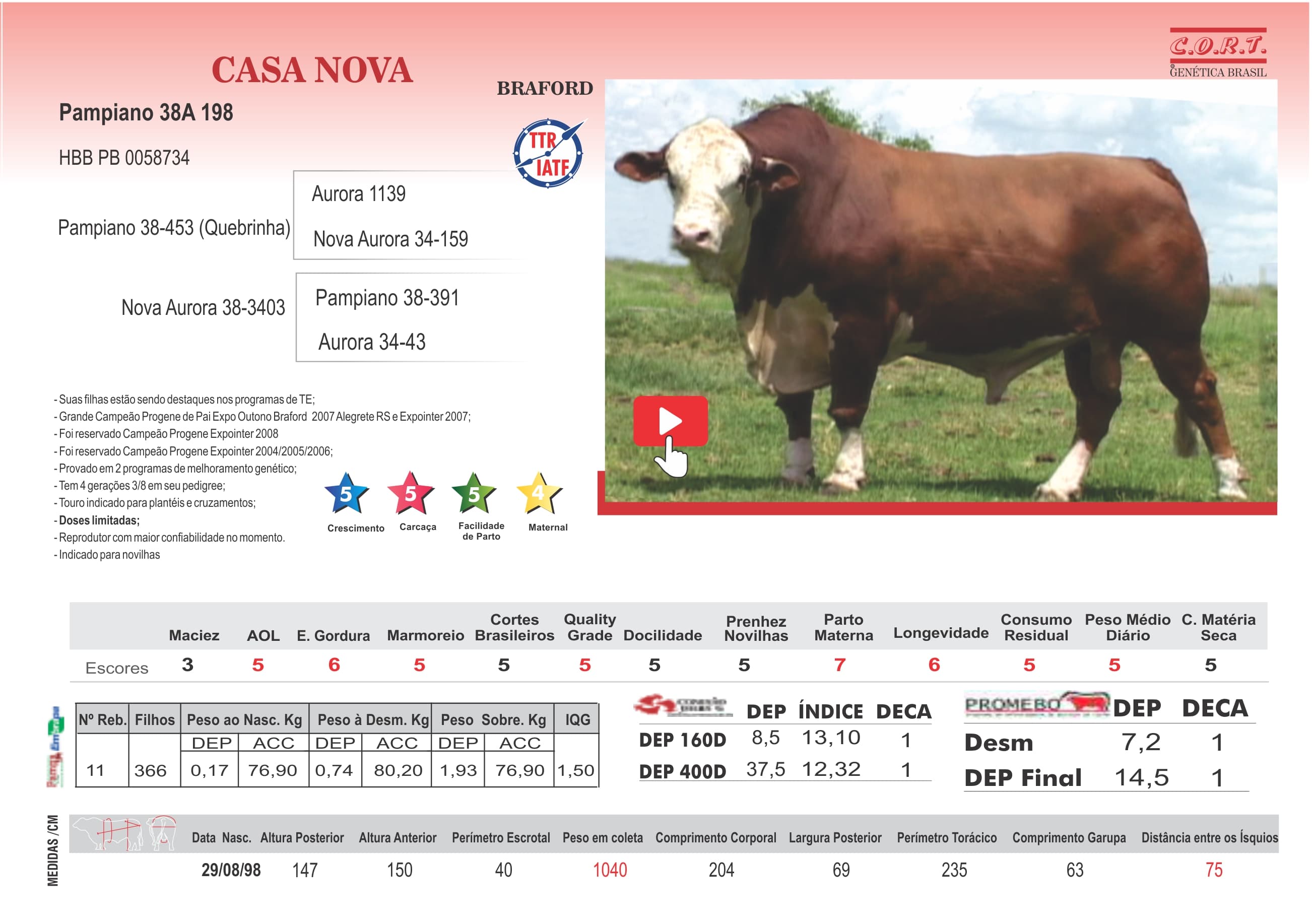 Touro CASANOVA