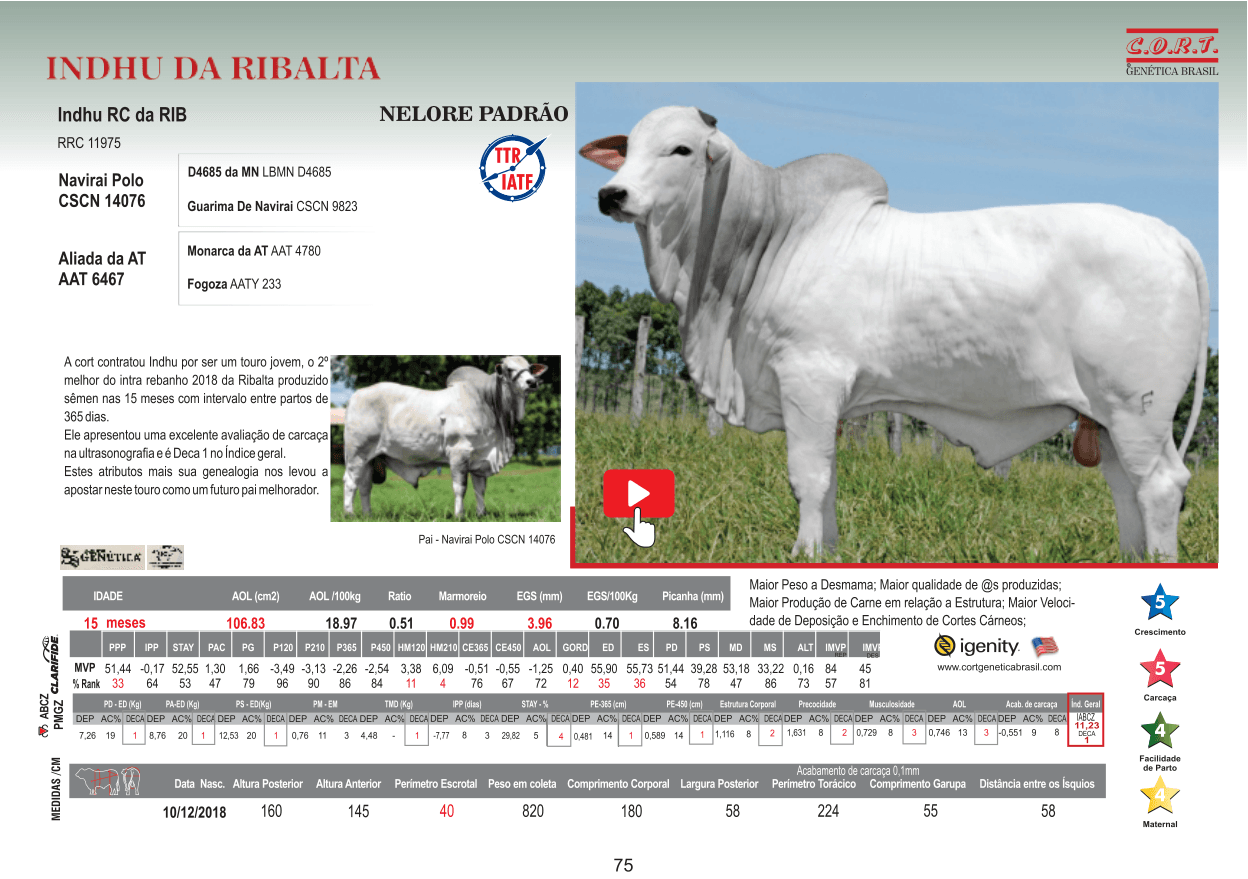Touro INDHU DA RIBALTA